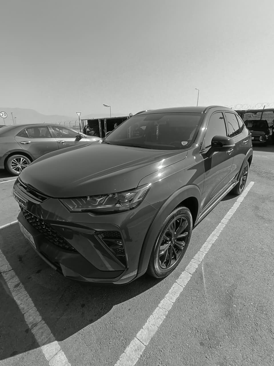 Traslados de Mascotas al Aeropuerto - Carmoi Pet Friendly